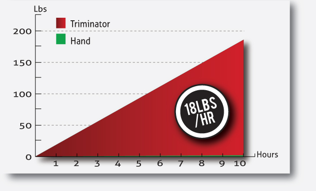 Triminator Graph